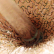 Illustration for article titled What Is This?